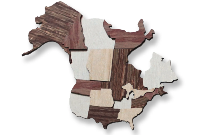 Magnetic pin wooden world map