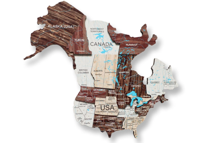 Wooden map of the world with magnetic pins